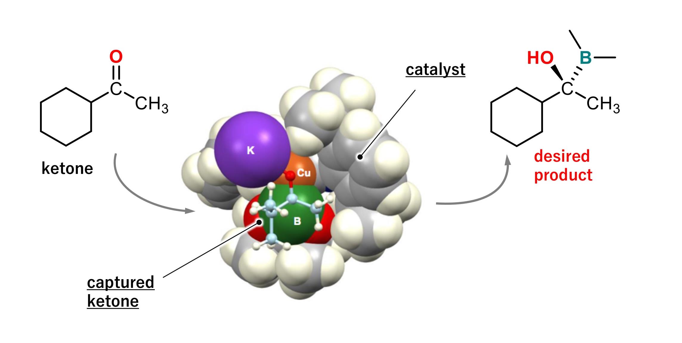 World’s first success in asymmetric borylation of ketones