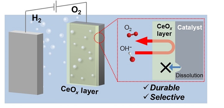 Shielding oxygen production to keep hydrogen coming