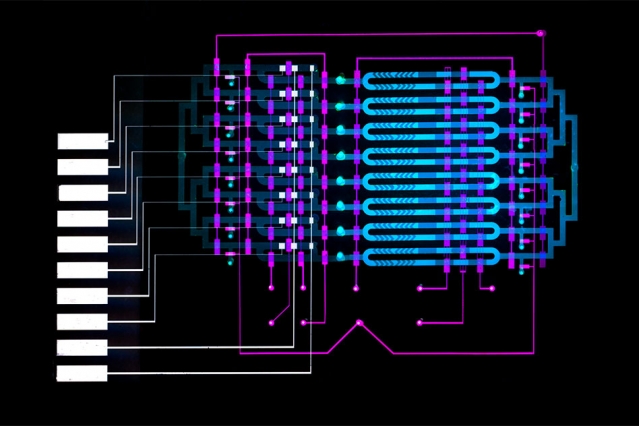 Microfluidics device helps diagnose sepsis in minutes