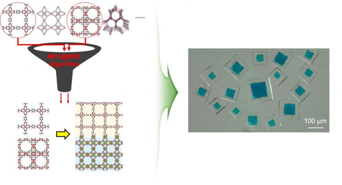 Discovering Connected Metal-Organic Frameworks with Computational Approach