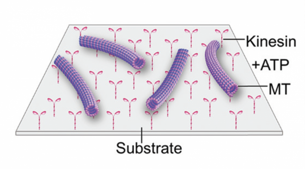 subrate