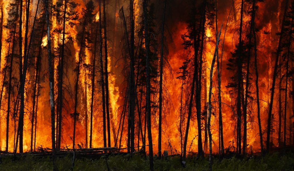 wildfire imaggeo.jpg 1280x99999 q90 subject location 19301297 subsampling 2