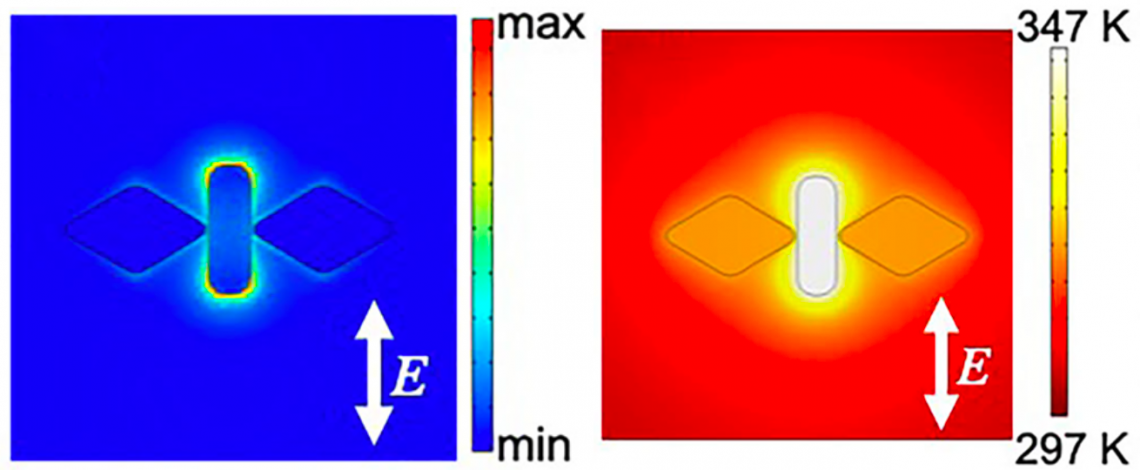 A gold butterfly can make its own semiconductor skin