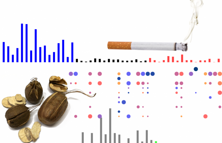 mutational signatures collage v2 01