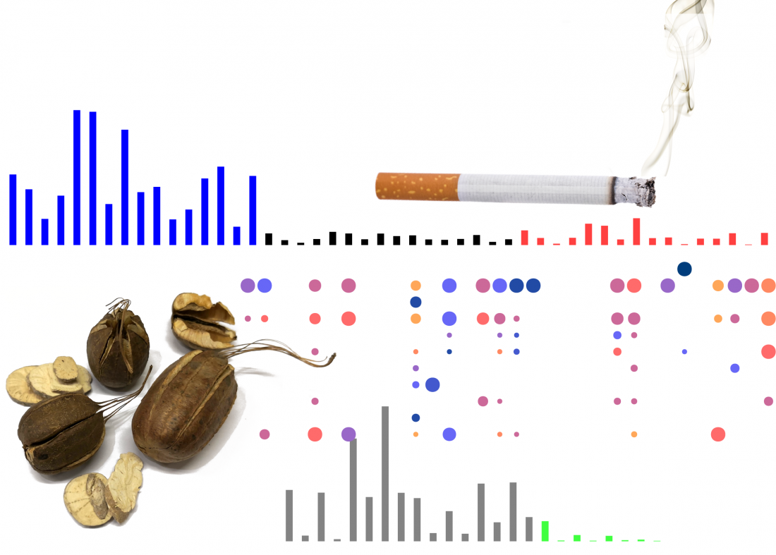 Study catalogues cancer ‘fingerprints’ in…