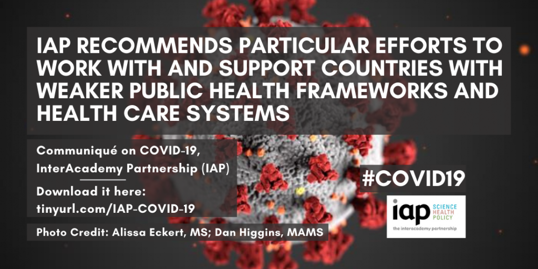 World academies call for global solidarity on COVID-19 pandemic