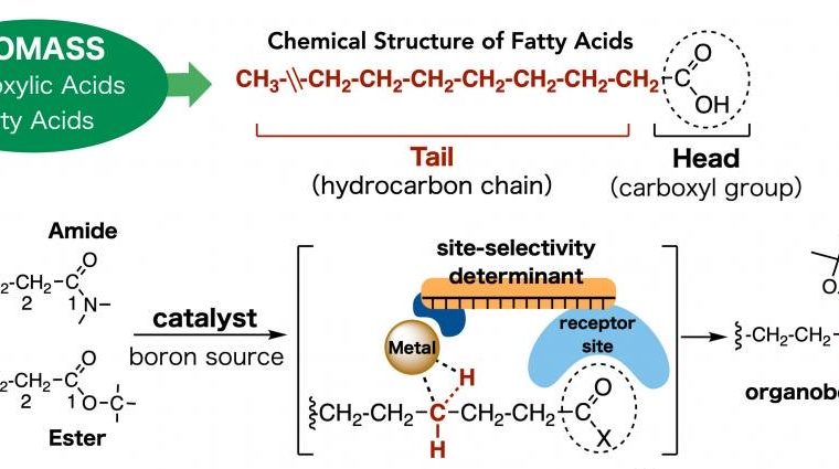 Schematic illustration