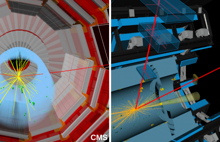 cern higgs boson