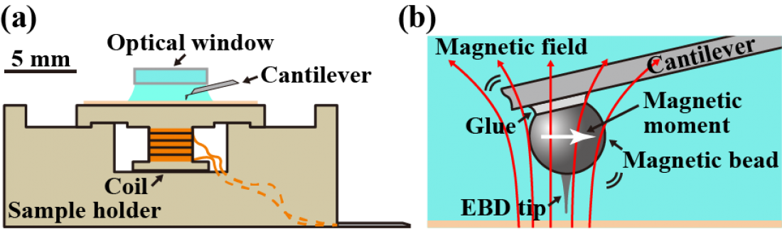 High-sensitivity atomic force microscopy opens up for photosensitive materials