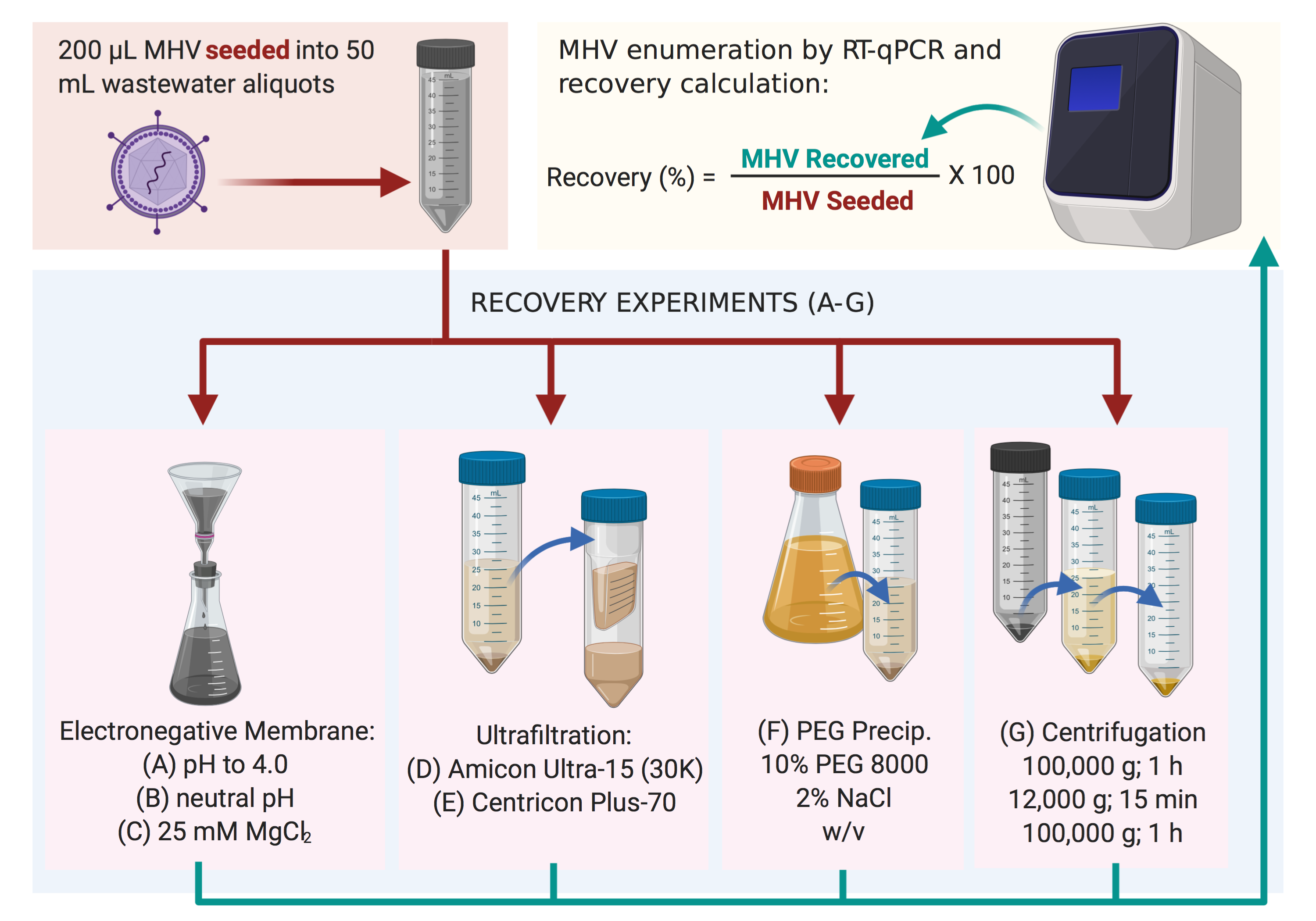 Tracking spreads COVID-19 through untreated wastewater