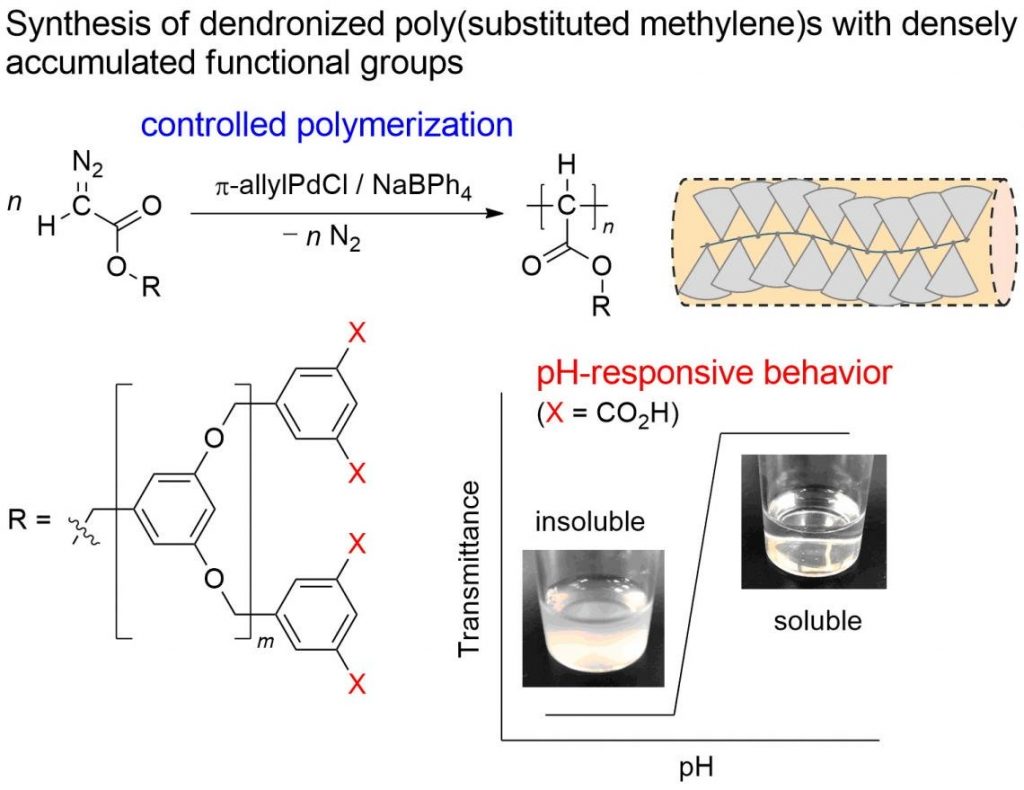 respinsive dendroized poly Ehime university