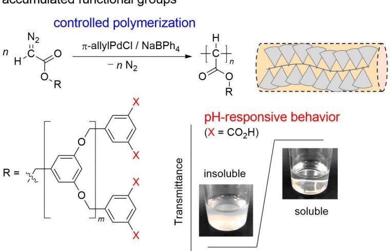 respinsive dendroized poly Ehime university