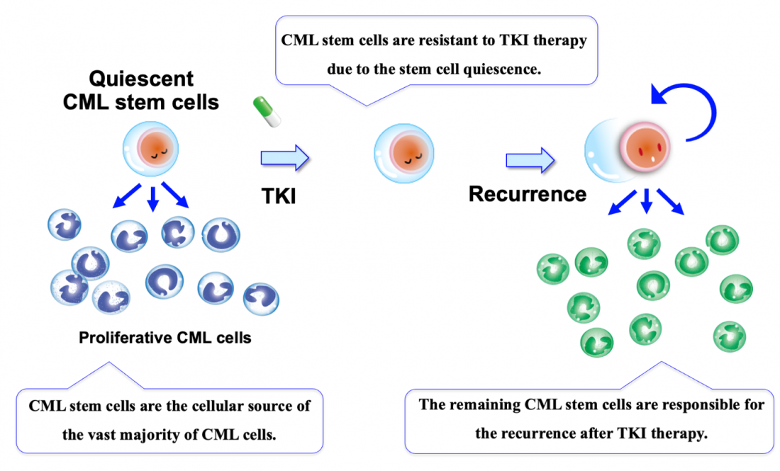 New way to halt leukemia…