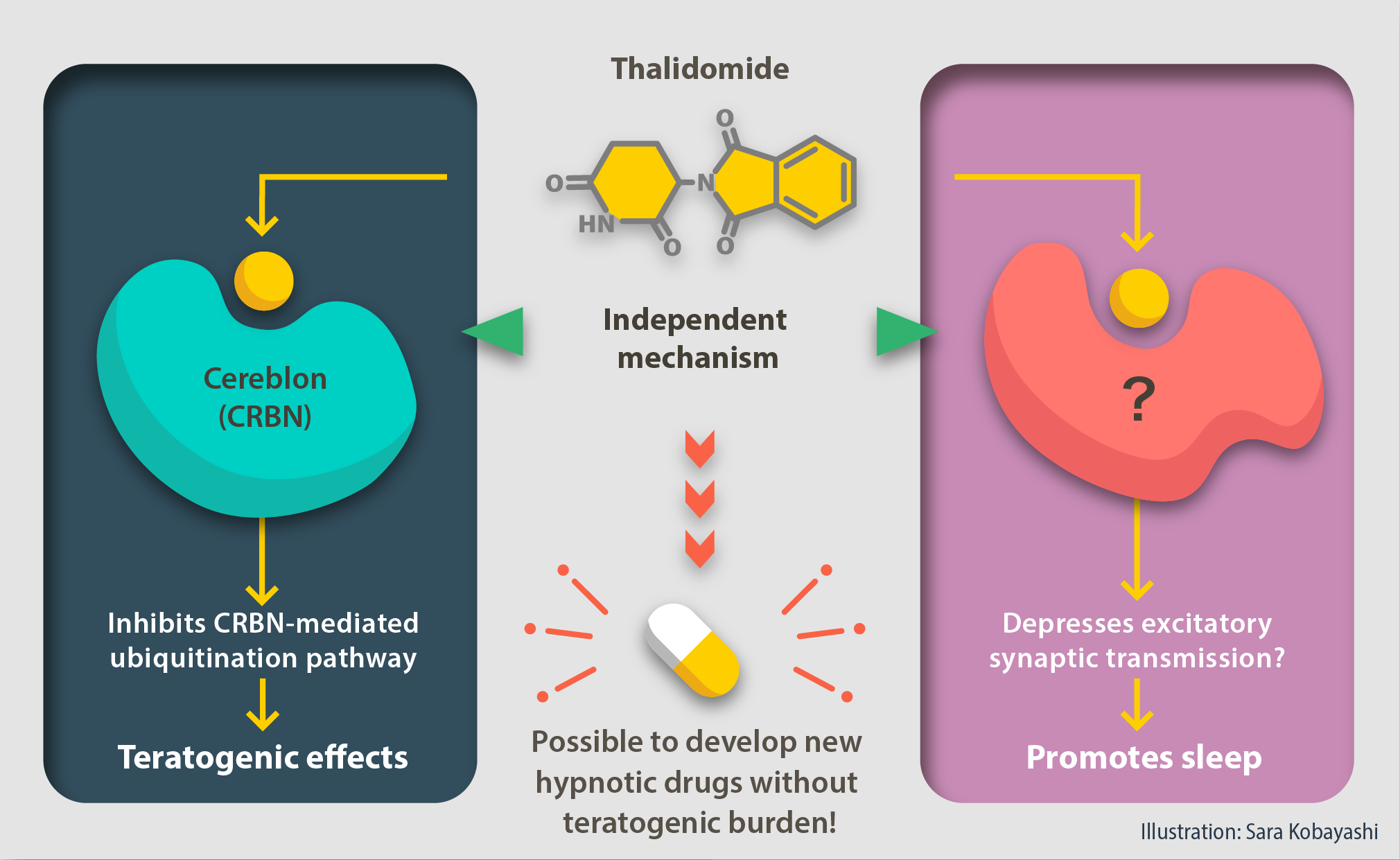 Don’t Sleep on the Hypnotic…