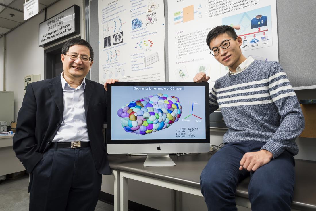 A powerful computational tool for efficient analysis of cell division 4D image data