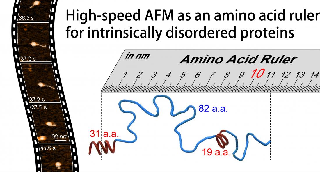 High-speed atomic force microscopy takes on intrinsically disordered proteins