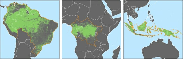 Subscriptions to satellite alerts linked to decreased deforestation in Africa