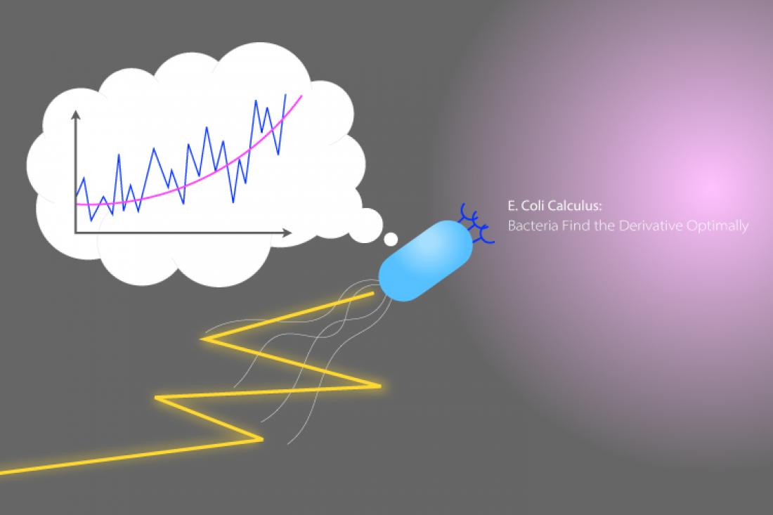 E. Coli Calculus: Bacteria Find…