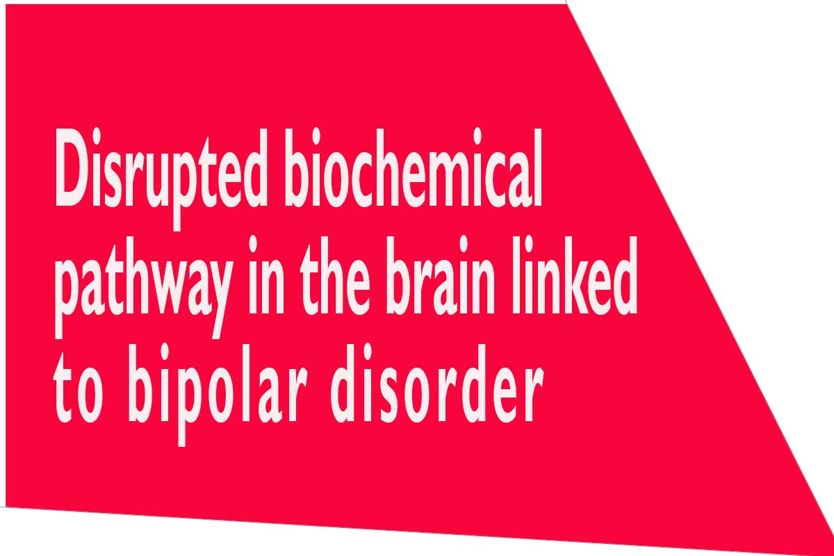 Disrupted biochemical pathway in the brain linked to bipolar disorder