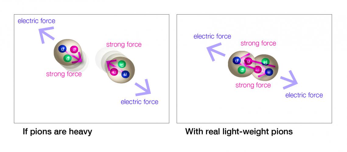 Strong force can create light-weight…