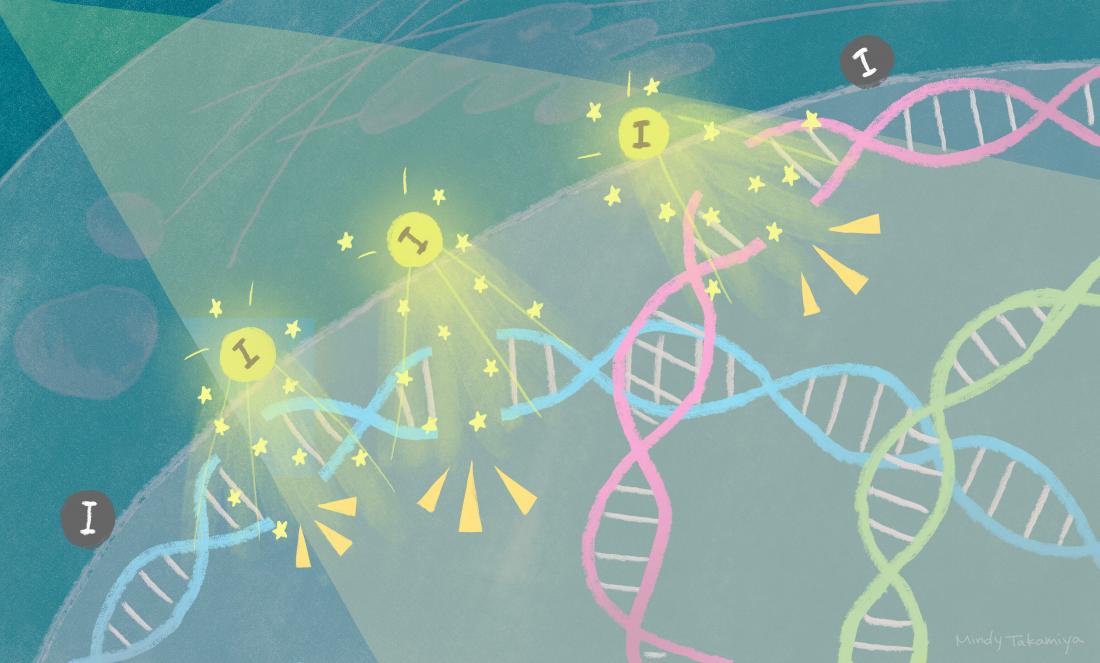 Researchers used novel iodine Nano-particles to destroy cancer cells