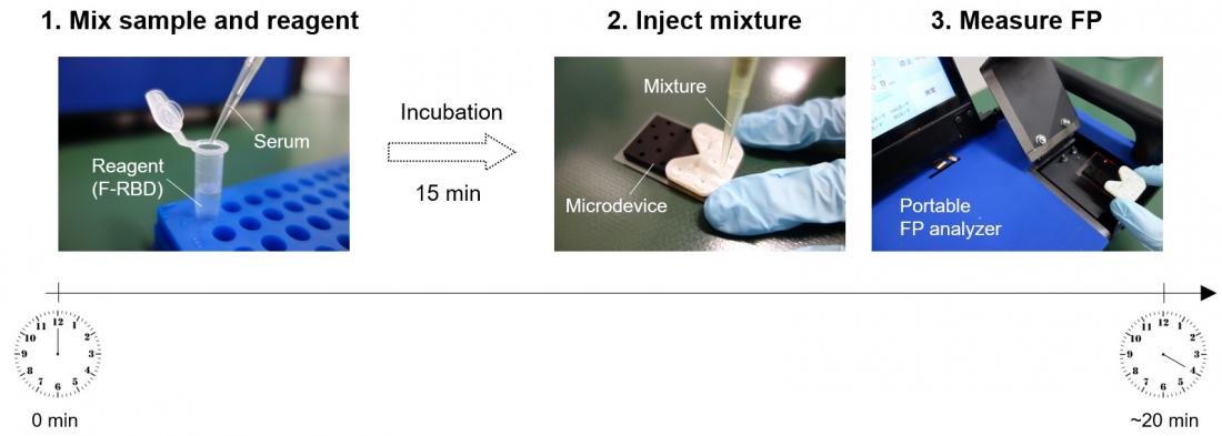 A rapid method to quantify antibodies against SARS-CoV-2