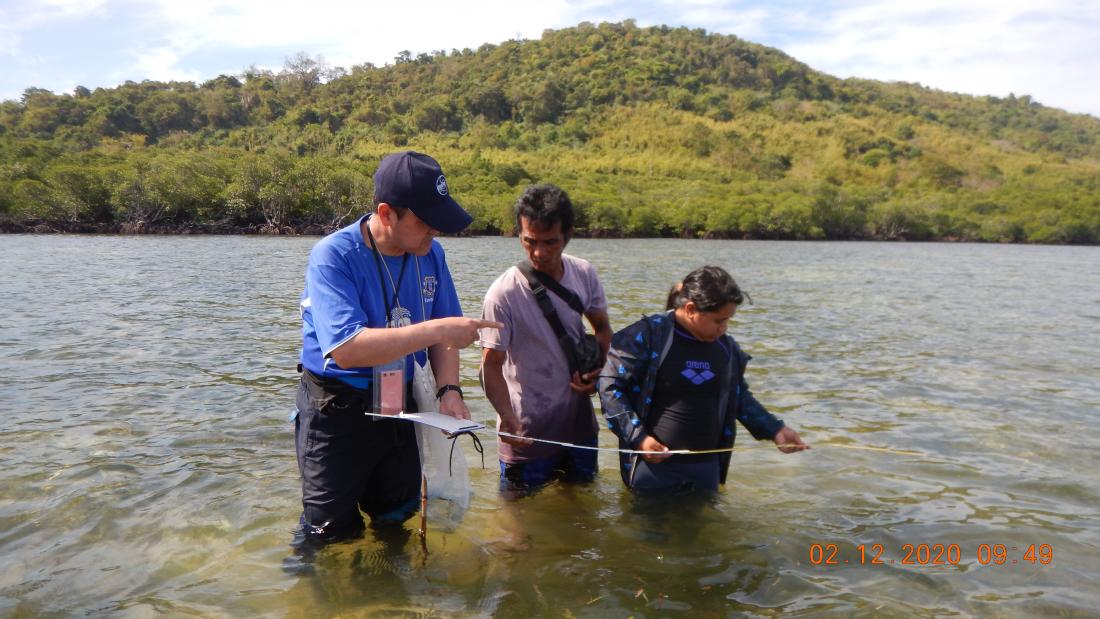 Linking humans with blue carbon ecosystems