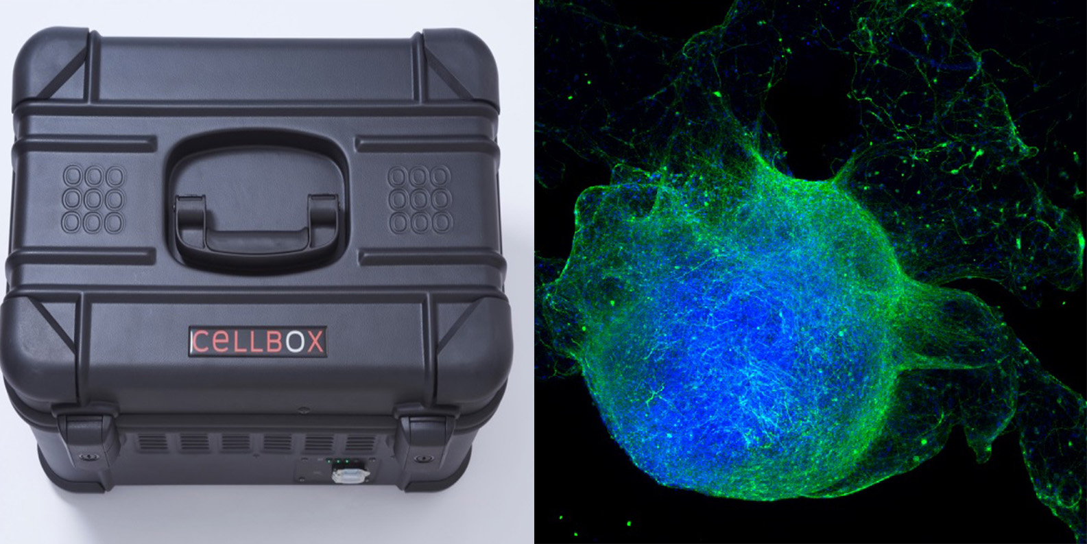 UPM Biomedicals and Cellbox Solutions collaborate to provide a live cell shipment solution