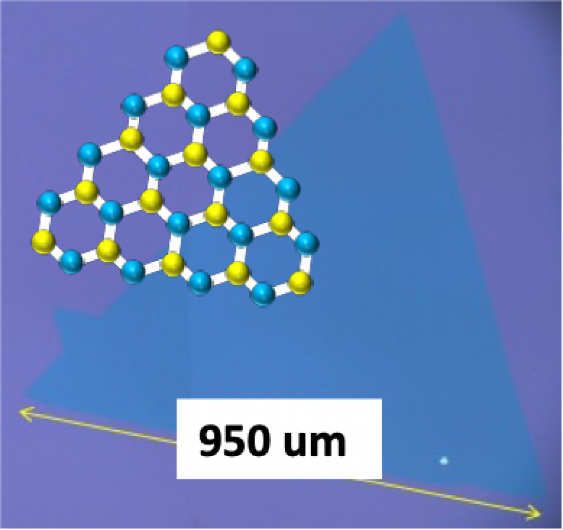 Novel Two-step Mechanism Revealed in 2D Material Formation