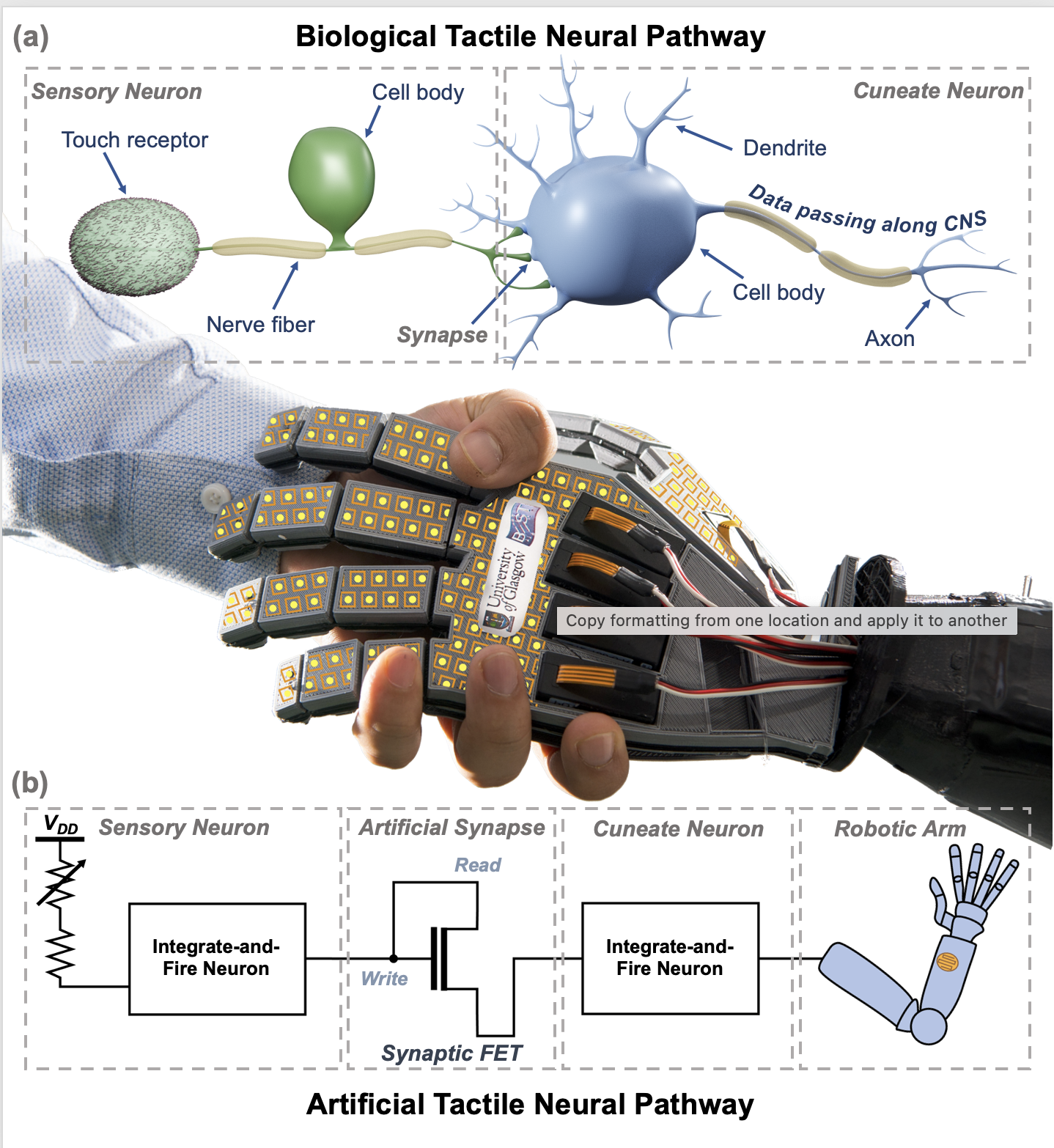 Artificial skin capable of feeling…