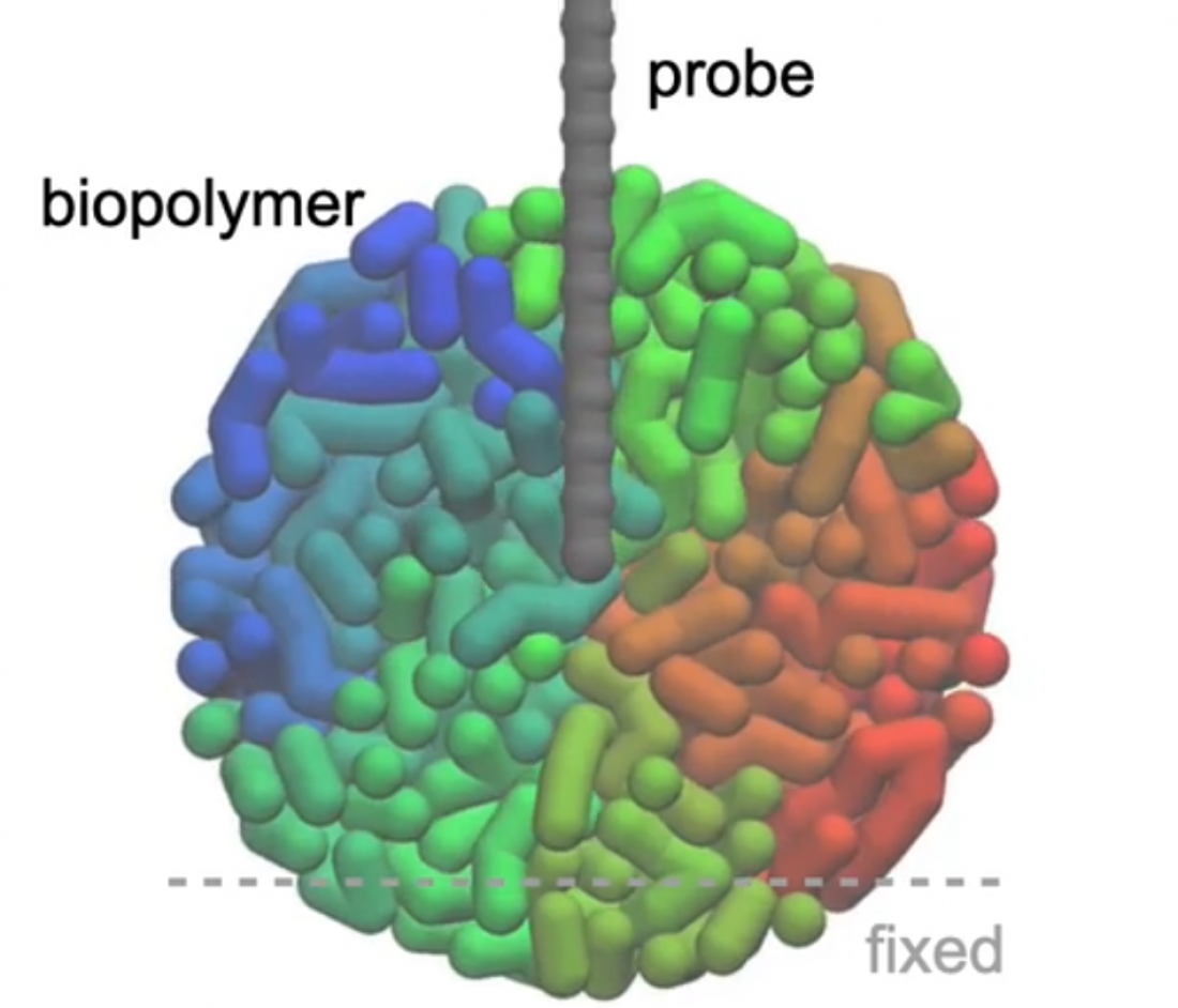 Simulating 3D-AFM images for systems,…