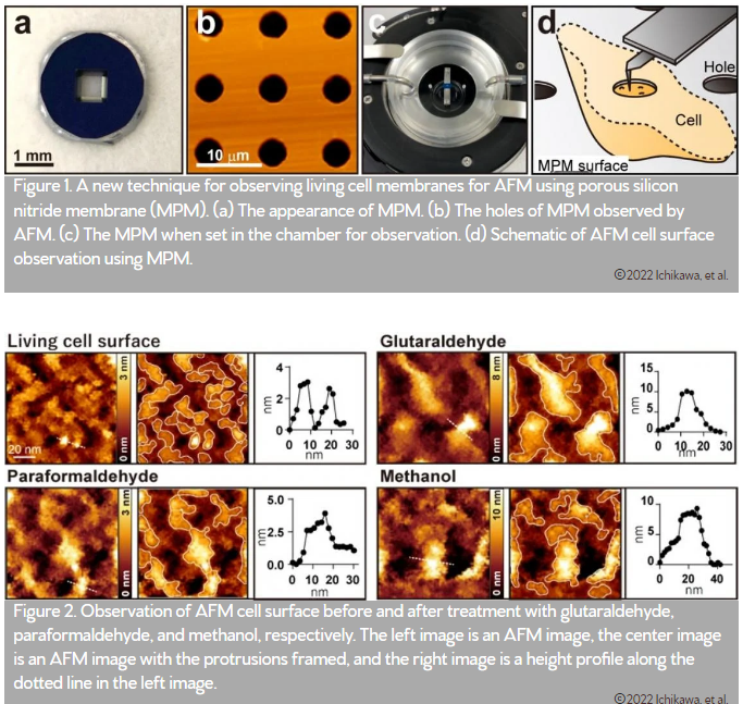 Chemical fixation causes aggregation artefact