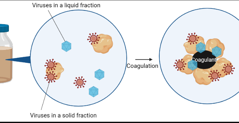 copman method