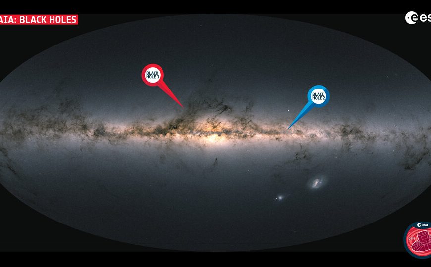 Gaia discovers a new family of black holes