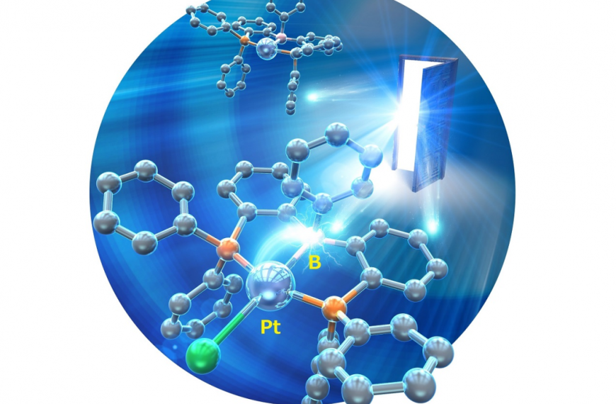 First Structural Analysis of Highly…