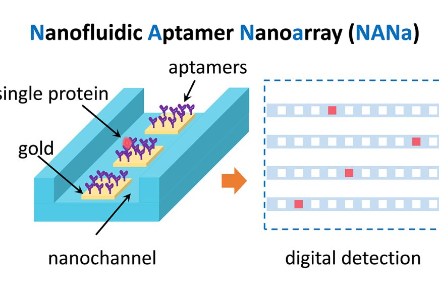 Nanofluidic device NANa measures individual proteins