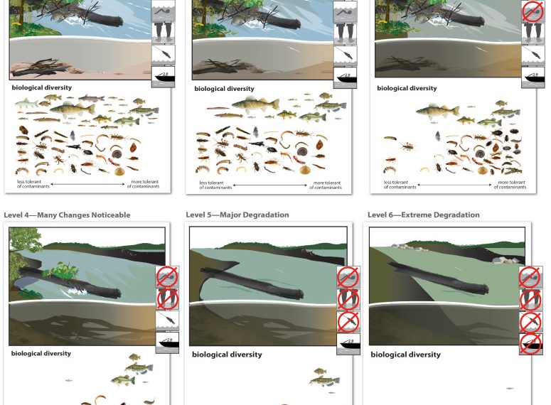 Clearer picture of watershed quality…