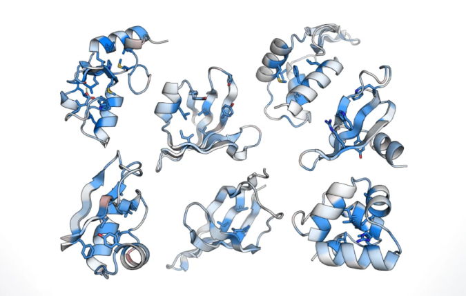 protein evaluates