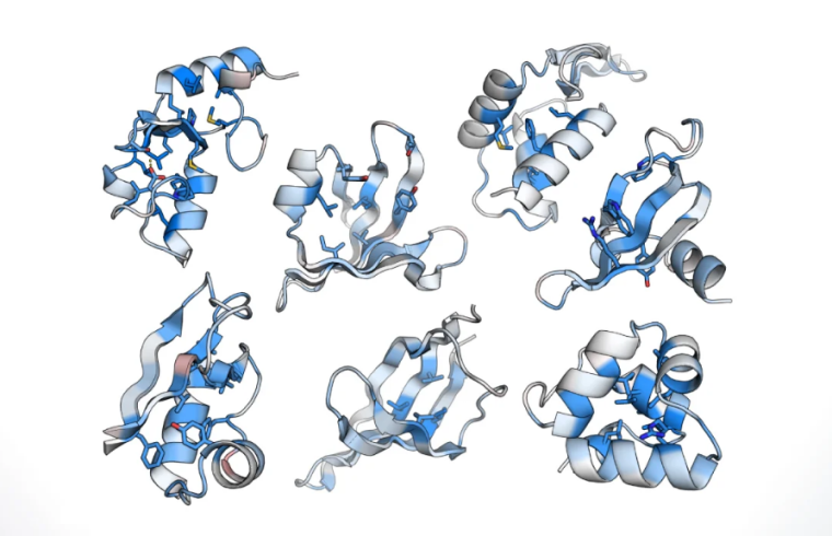 protein evaluates