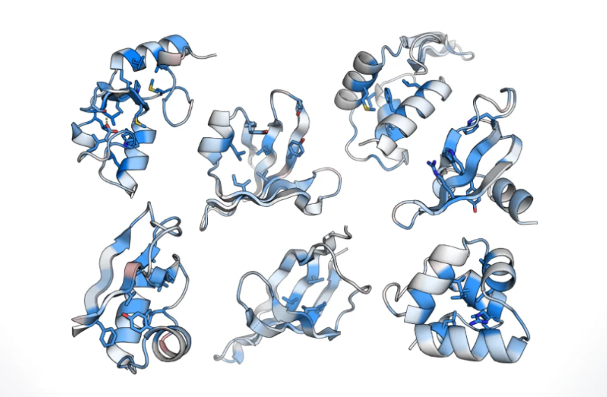 New method expertly evaluates protein folding stability on a large scale