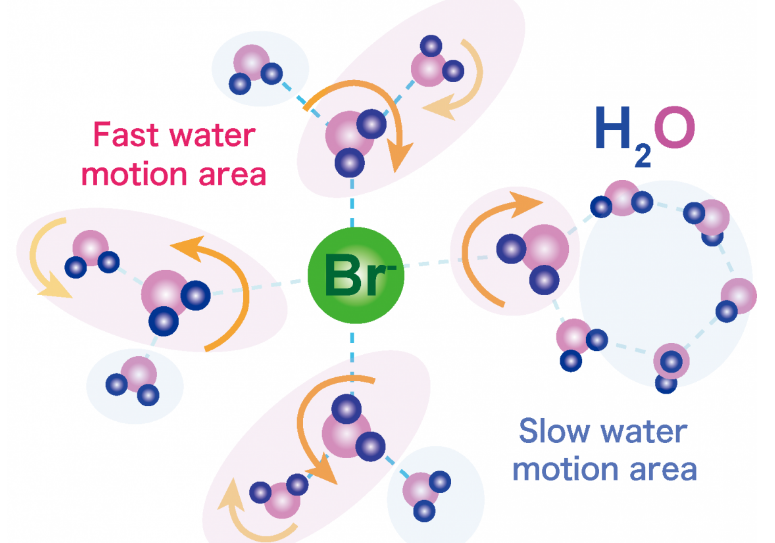 Bromide ions cause ripples in…