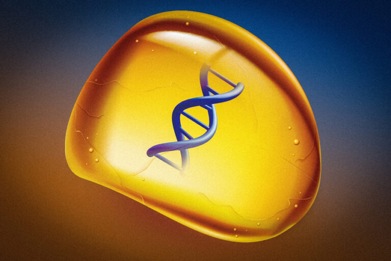 Scientists preserve DNA in an amber-like polymer