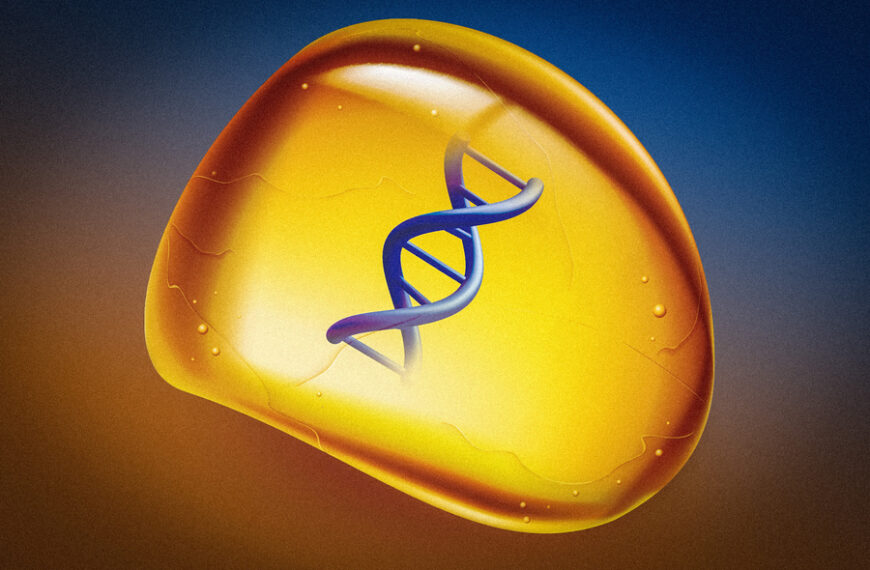 Scientists preserve DNA in an amber-like polymer