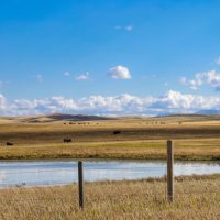 BLACKFEET RESERVATION MONTANA 2.7MB