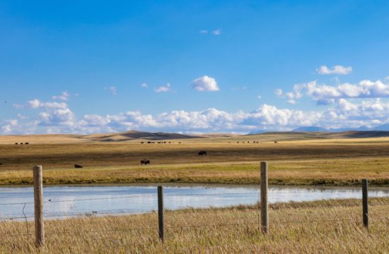 BLACKFEET RESERVATION MONTANA 2.7MB