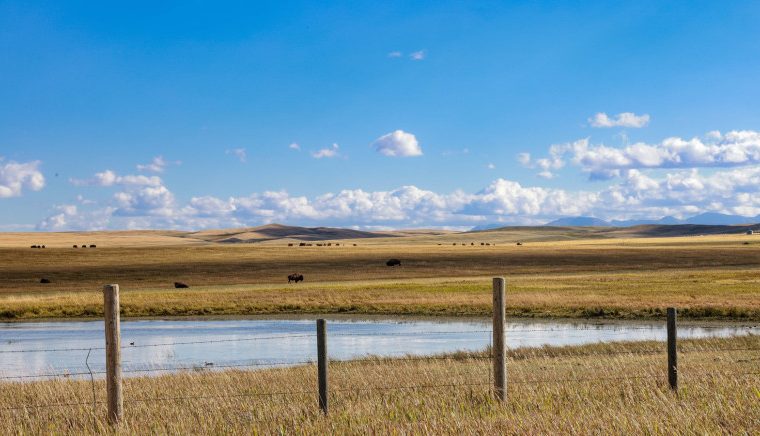 BLACKFEET RESERVATION MONTANA 2.7MB