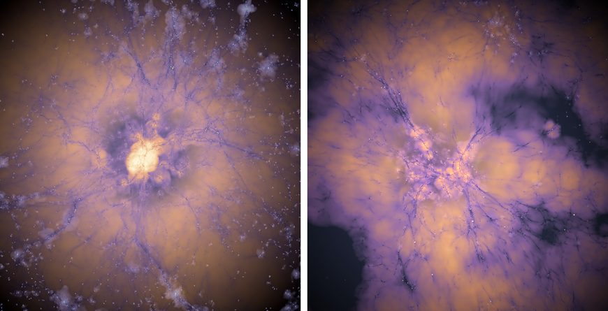 Study: Early dark energy could resolve cosmology’s two biggest puzzles