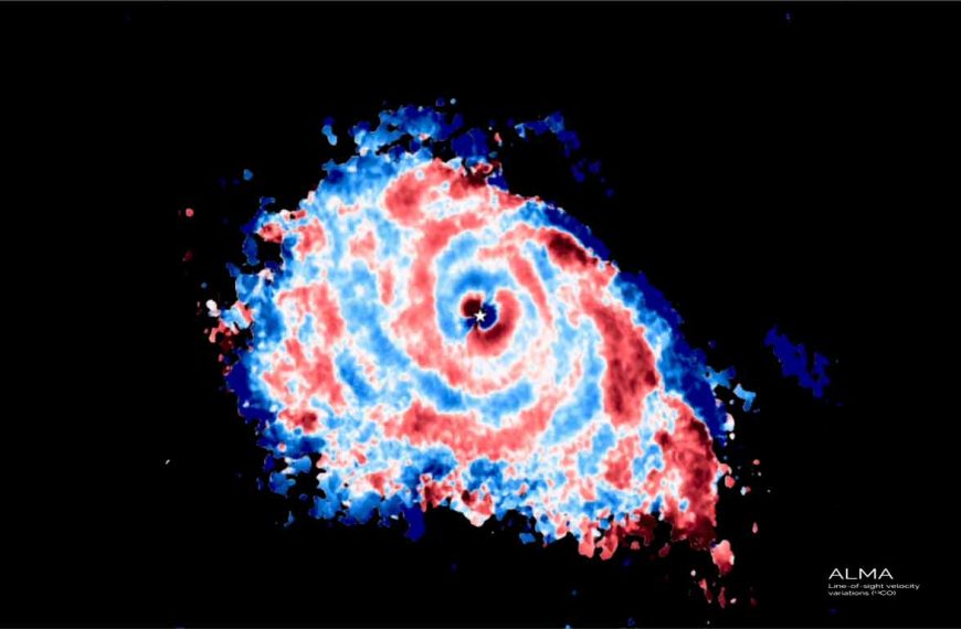 ALMA Detects Hallmark “Wiggle” of Gravitational Instability in Planet-Forming Disk