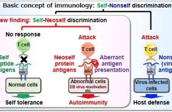 basic immunology