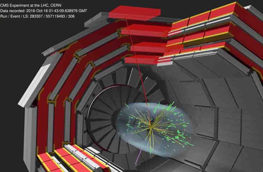 CMS experiment at CERN weighs in on the W boson mass